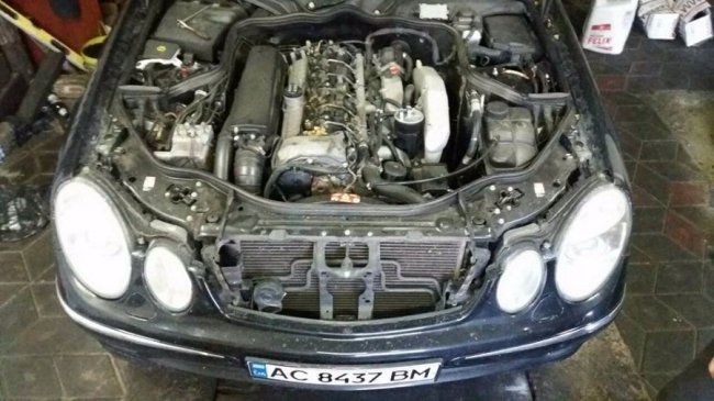 Курйоз на Волині: як білка зробила склад харчів у  Mercedes. ФОТО