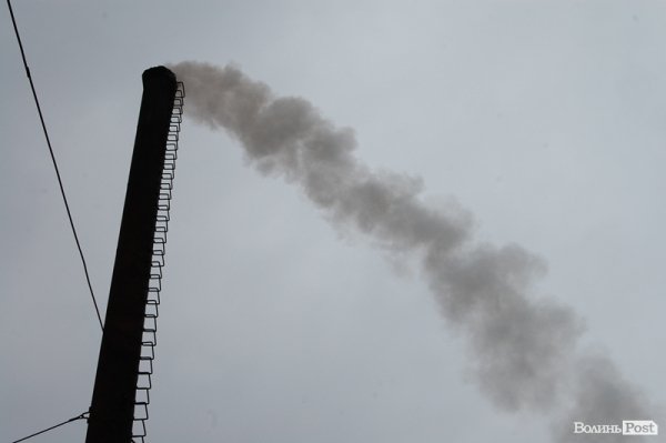 Під Луцьком знищили наркотиків на 2 мільйони гривень. ФОТО