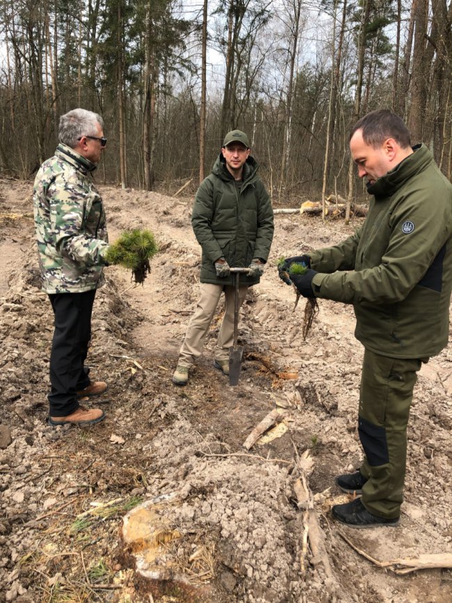 «Легені» міста: у Києві висадили майже півгектара лісу 