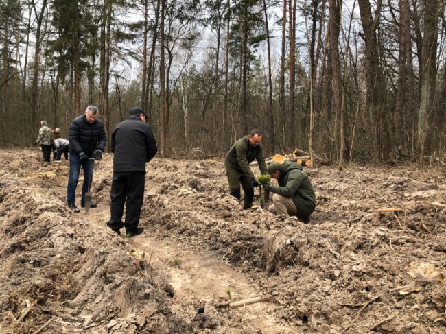 «Легені» міста: у Києві висадили майже півгектара лісу 