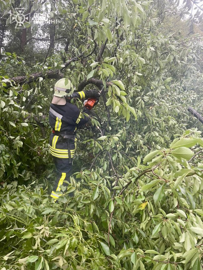 На Волині горіли житловий будинок та автомобіль