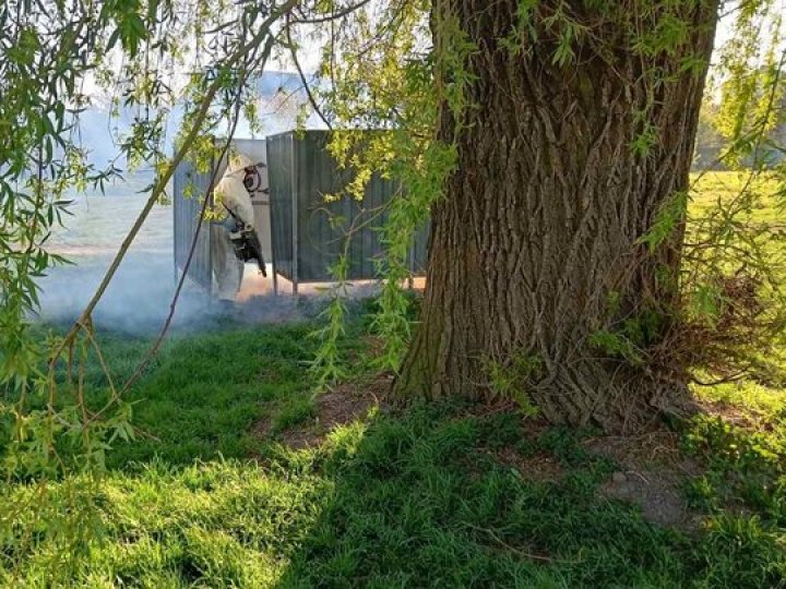Більше 100 людей на Волині покусали кліщі