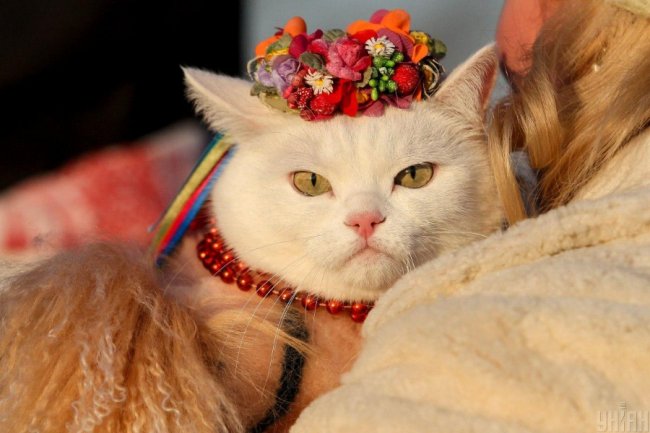 17 лютого – День спонтанного прояву доброти: традиції, прикмети і заборони у це свято 