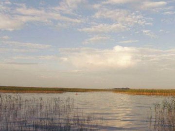 Світязь міліє через надмірне випаровування, - синоптики