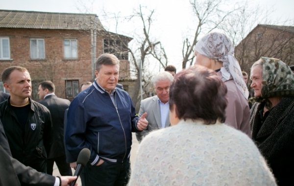 Як Янукович садив ялинку. ФОТО