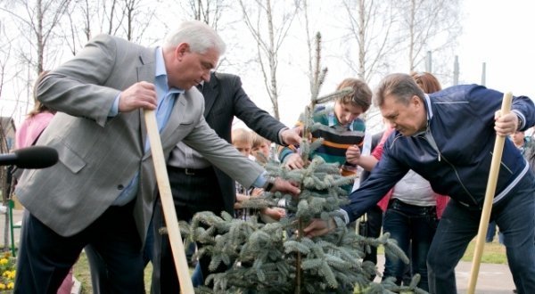 Як Янукович садив ялинку. ФОТО