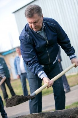 Як Янукович садив ялинку. ФОТО