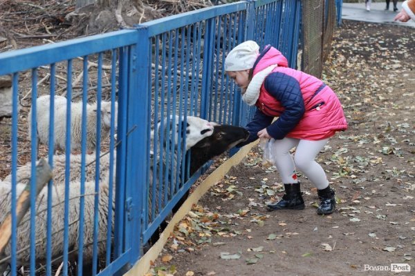 У Луцьку відкрили оновлений зоопарк. ФОТО 