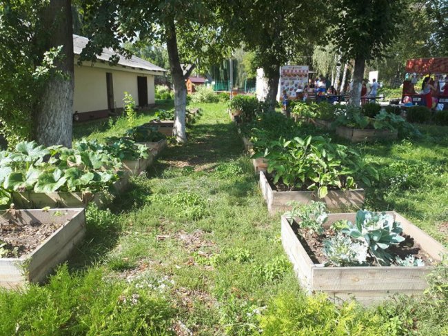 У Луцькому зоопарку зібрали урожай овочів, які садили діти. ФОТО