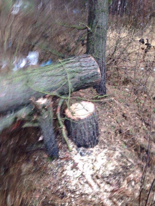 Добувачі бурштину перекинули автомобіль СБУ. ФОТО