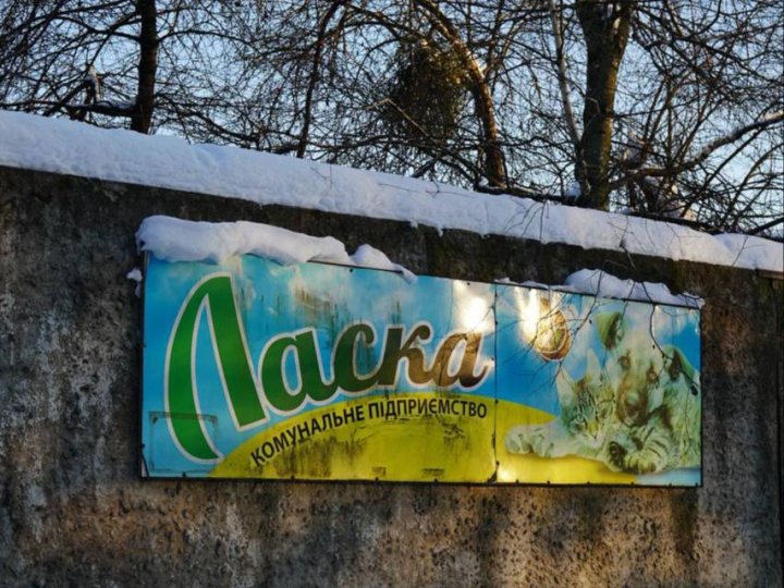 В КП «Ласка» зʼявився постійний меценат