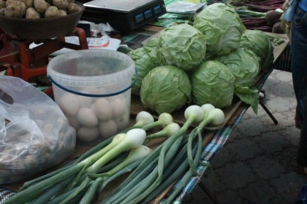 У Луцьку ‒ сільськогосподарський ярмарок. ФОТО