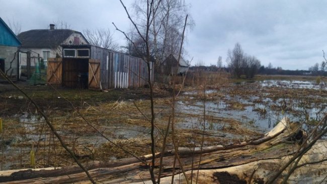 Як у громаді на Волині борються з паводком. ФОТО. ВІДЕО