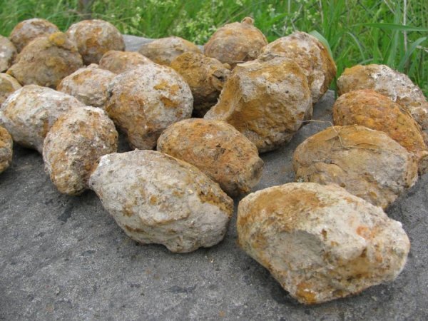 На Волині розміновують село. ФОТО. ВІДЕО