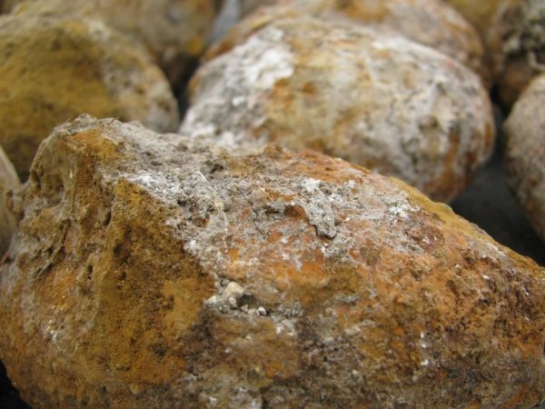 На Волині розміновують село. ФОТО. ВІДЕО