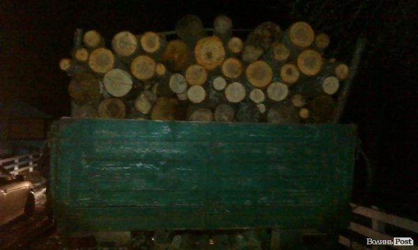 «Айдар» на Волині ловить крадіїв лісу. ФОТОРЕПОРТАЖ