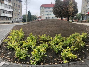 У Луцьку озеленюють новий сквер на проспекті Волі. ФОТО