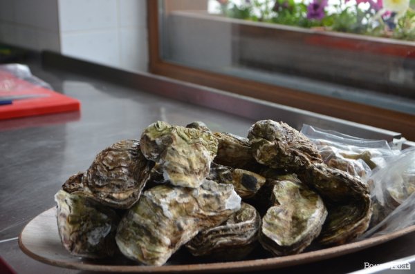 Patio di fiori показали свою кухню для керівників навчальних закладів. ФОТО