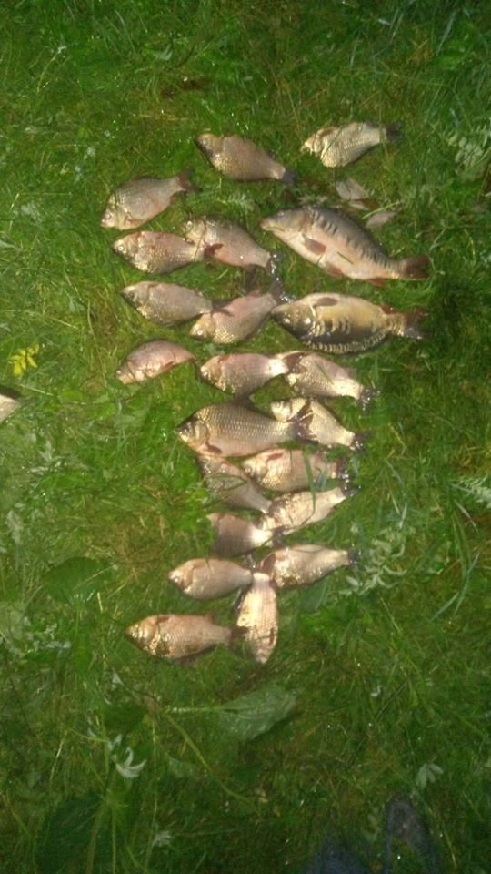 Волинський рибпатруль за один день викрив 7 браконьєрів. ФОТО