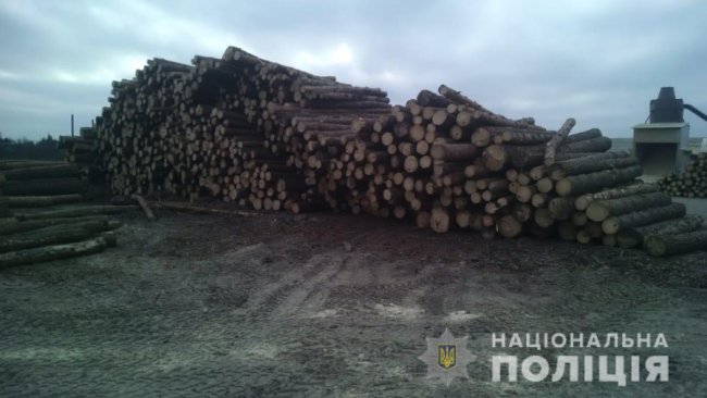 Пульти керування пилорамами, добротне дерево: на Камінь-Каширщині – обшуки. ФОТО. ВІДЕО