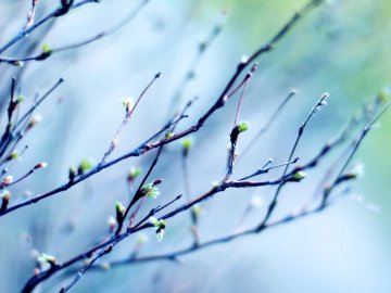 Чому сьогодні ввечері не можна виходити з дому: прикмети та забобони 4 березня