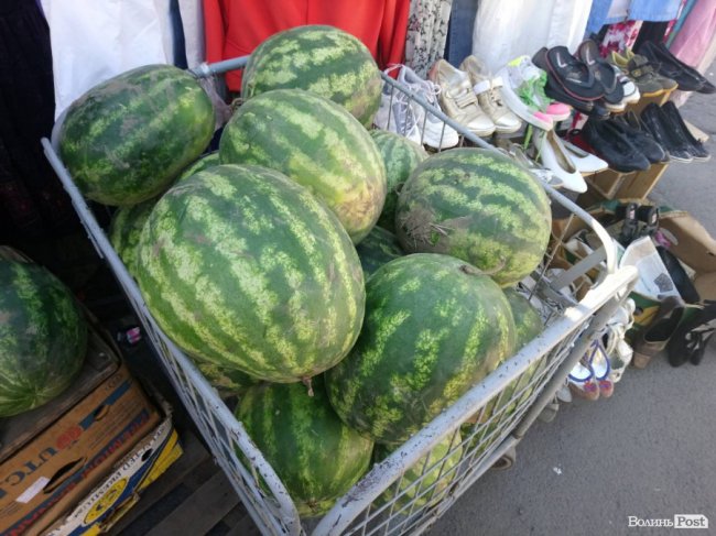 Кавуни на ринку Луцька: чому так дорого і чи буде дешевше. ФОТО