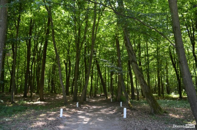 Еко-туризм «за крок» від Луцька: всі стежки ведуть до Воротнева