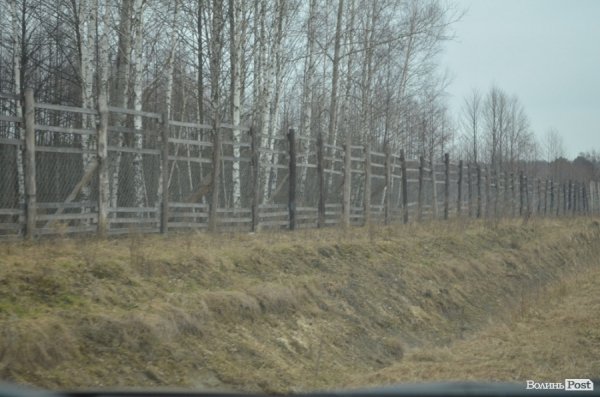 «Межигір'я» по-волинськи: екскурсія лісовими маєтками