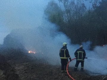 У районі на Волині 11 рятувальників намагаються загасити пожежу на торф’янику