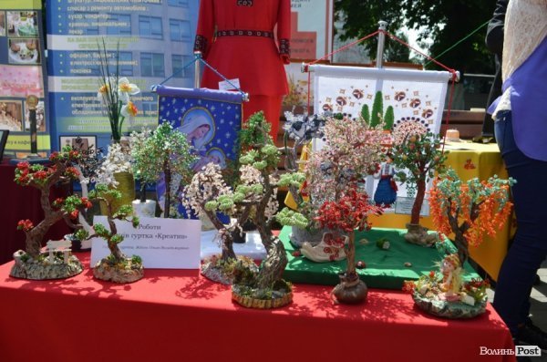 У центрі Луцька - виставка-ярмарок. ФОТО  