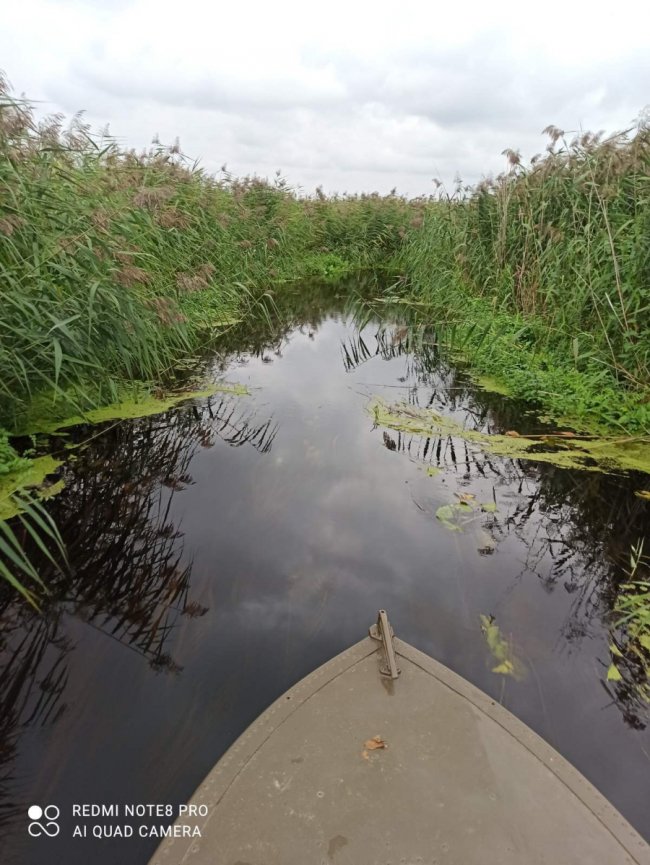 За тиждень на Волині зафіксували 16 порушень правил рибальства 