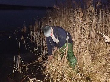 «Сімейне браконьєрство»: на Волині батько з сином ловлять рибу сітками