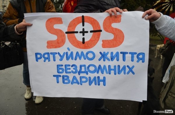 У Луцьку під дощем мітингувати захисники тварин