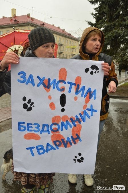 У Луцьку під дощем мітингувати захисники тварин