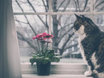 «Метеопатам буде непереливки»: синоптик попередила про суттєву зміну погоди