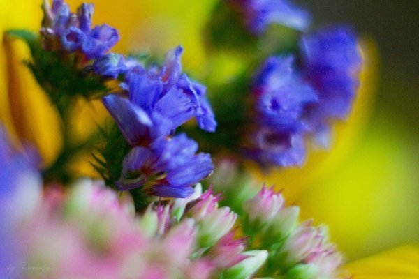 Фотовиставка Ольги Абрамової