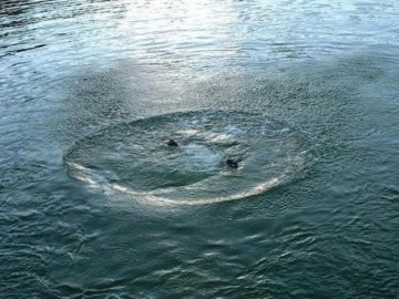 На Волині з водойми в готельно-ресторанному комплексі дістали потопельника