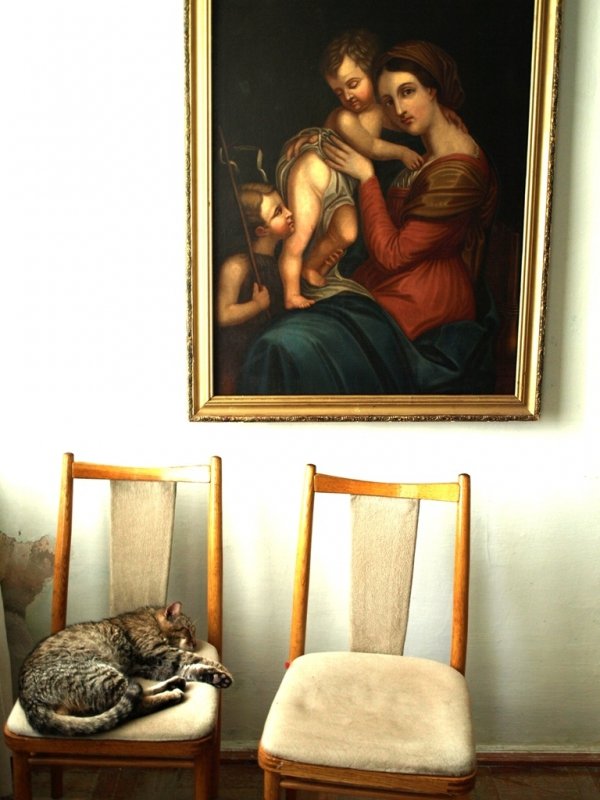 Фотовиставка Тетяни Полуектової