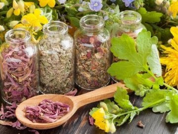 10 червня – яке сьогодні свято і чому в цей день треба збирати лікарські трави