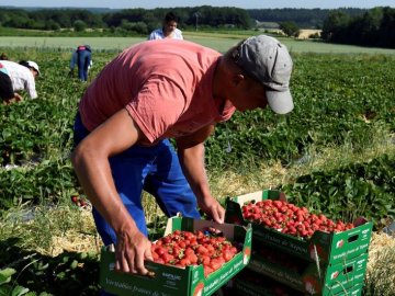 Розповіли, як заробітчани зможуть отримати субсидію