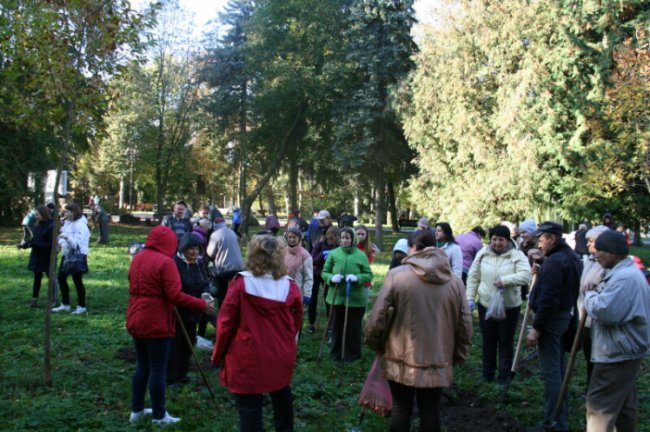 У Луцьку в парку висадили «кольоровий килим»  з первоцвітів