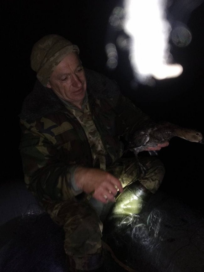 На волинському озері екоінспектори врятували птаха з браконьєрських сіток 