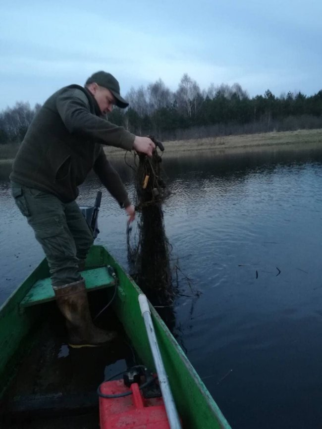На волинському озері екоінспектори врятували птаха з браконьєрських сіток 