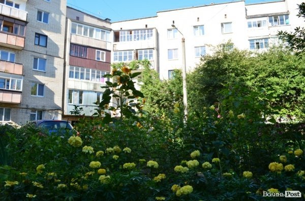 Місто, яке я люблю. Квіти Луцька