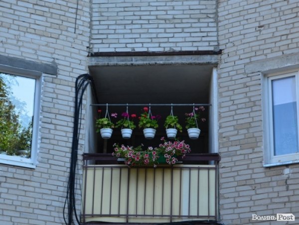 Місто, яке я люблю. Квіти Луцька