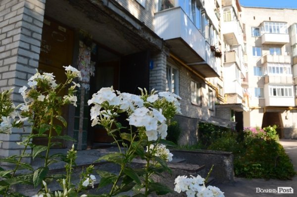 Місто, яке я люблю. Квіти Луцька