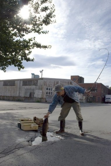 Як привернути увагу до поганого стану доріг. ФОТО