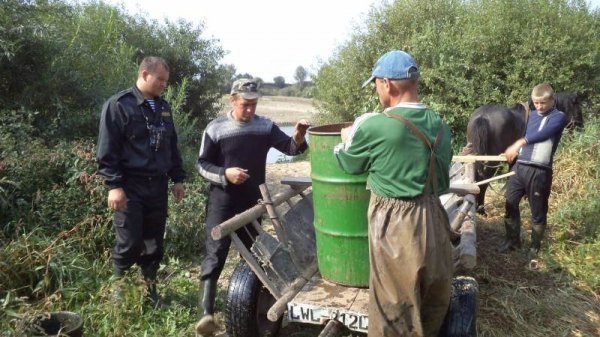 Як на Волині рятували рибу. ФОТО
