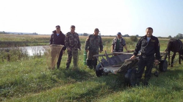 Як на Волині рятували рибу. ФОТО