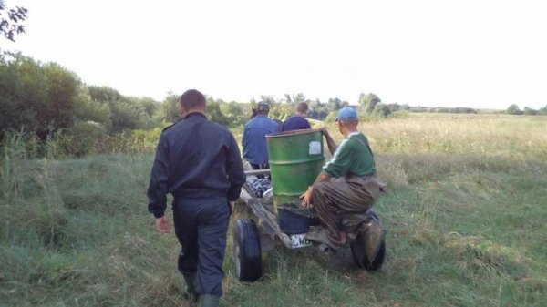 Як на Волині рятували рибу. ФОТО